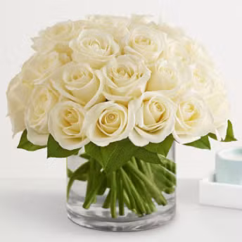 white roses